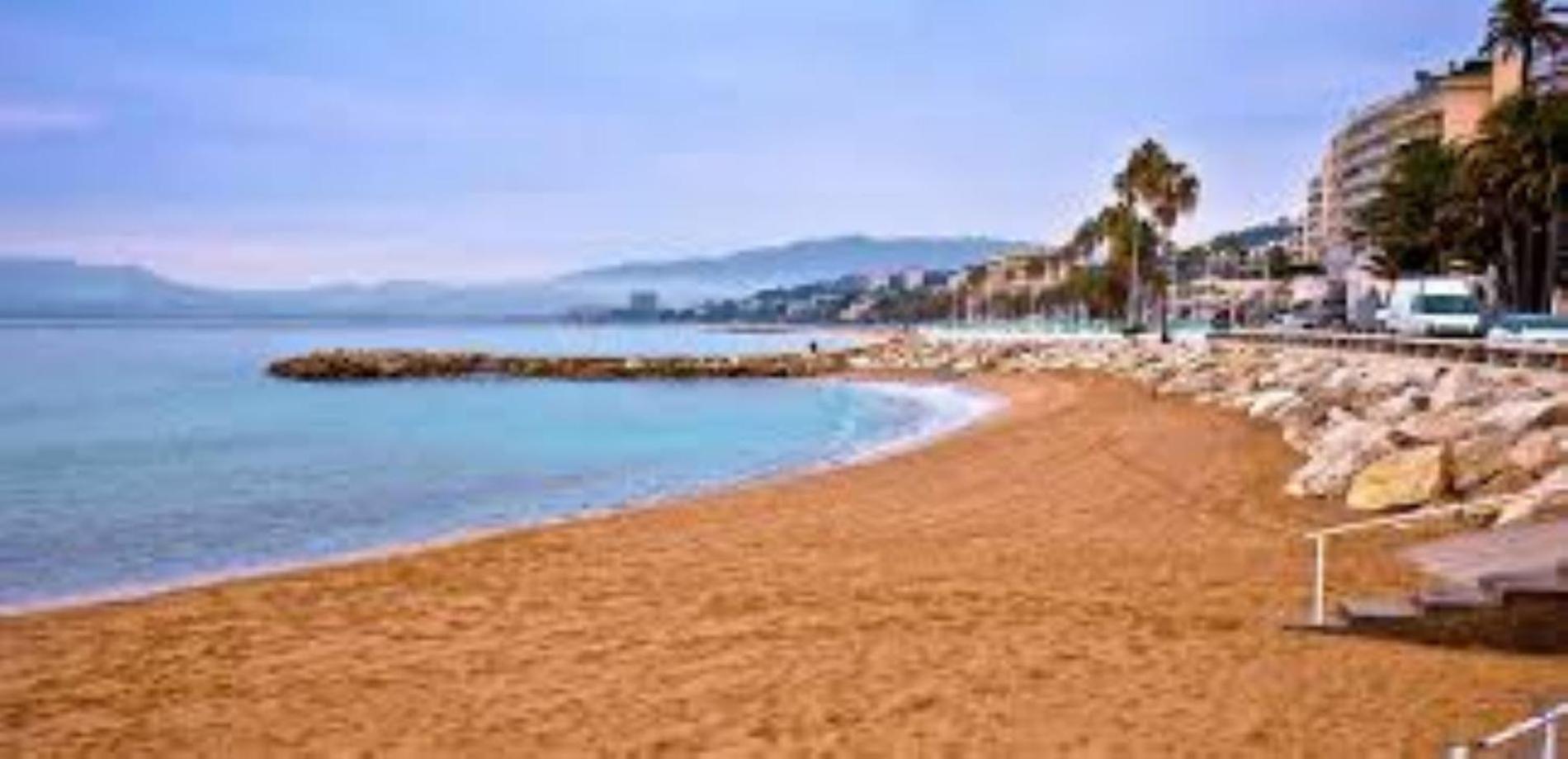 Appartement Grand 2 Pieces Moderne Carre D Or A1b205 Cannes